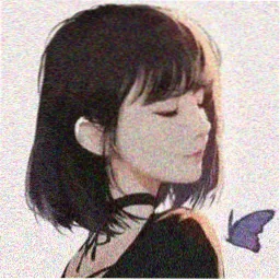 用户 木鱼不敲 的头像